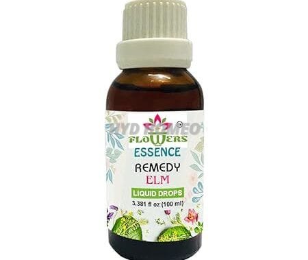 Elm 100ml || Natural Flower Remedy from Organic Concentrate || ShopHomeo®