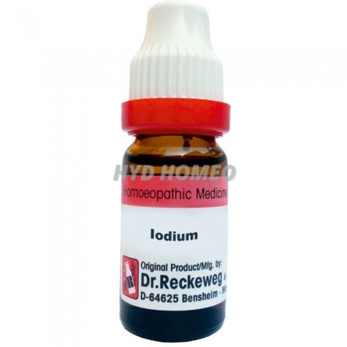 Dr. Reckeweg Iodium
