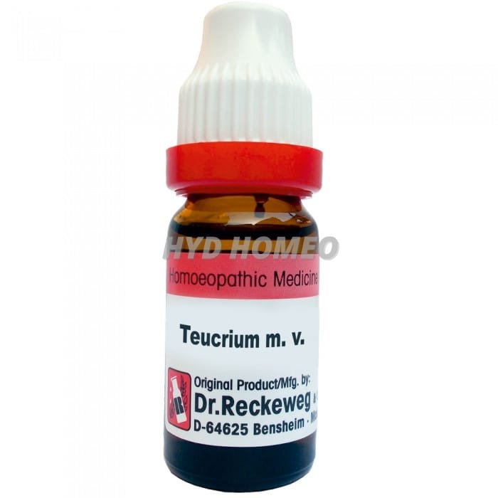 Dr. Reckeweg Teucrum M.V.