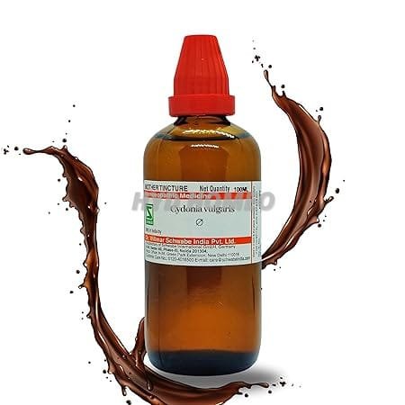 Dr Willmar Schwabe India Cydonia vulgaris Q 100ML || Mother Tincture || Schwabe Homeopathy Medicine