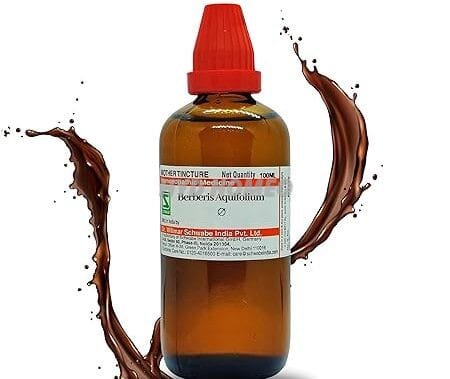 HOMEOLAV Dr Willmar Schwabe India Berberis Aquifolium Q 100Ml || Mother Tincture || Schwabe Homeopathy Medicine