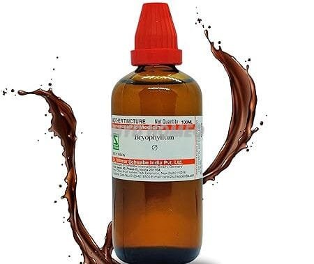 Dr Willmar Schwabe India Bryophyllum Q 100ML || Mother Tincture || Schwabe Homeopathy Medicine