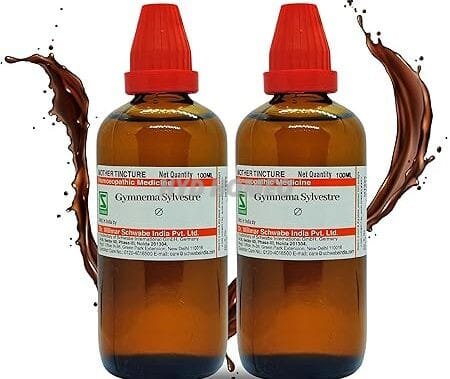 Dr Willmar Schwabe India Gymnema sylvestre Q 200ML (100mlx2) || Mother Tincture || Schwabe Homeopathy Medicine