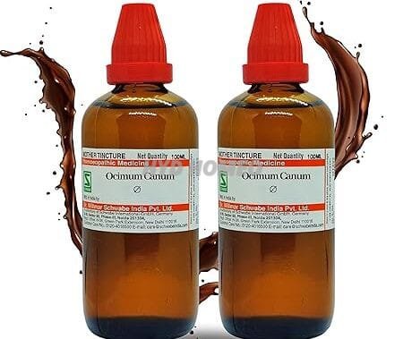 Dr Willmar Schwabe India Ocimum canum Q 200ML (100mlx2) || Mother Tincture || Schwabe Homeopathy Medicine