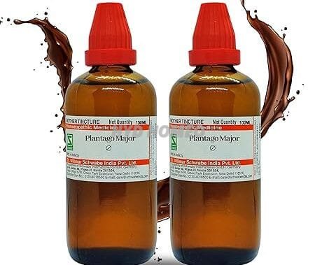 Dr Willmar Schwabe India Plantago major Q 200ML (100mlx2) || Mother Tincture || Schwabe Homeopathy Medicine