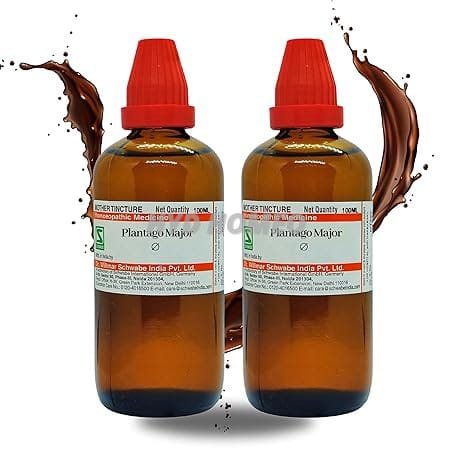 Dr Willmar Schwabe India Plantago major Q 200ML (100mlx2) || Mother Tincture || Schwabe Homeopathy Medicine
