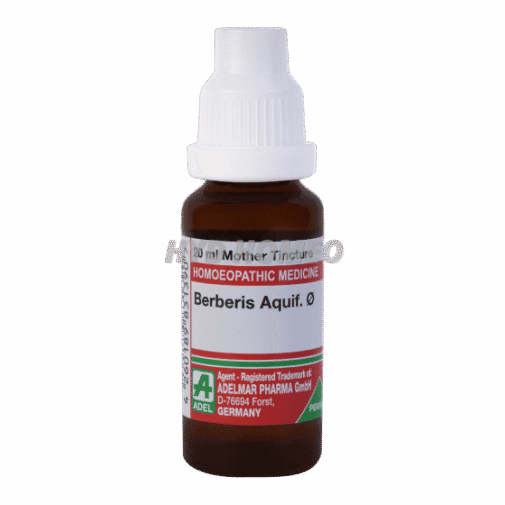 ADEL Berberis Aquif Ø