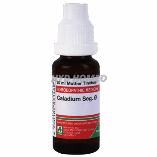 ADEL Caladium Seg Ø