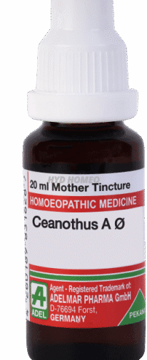 ADEL Ceanothus Amer Ø