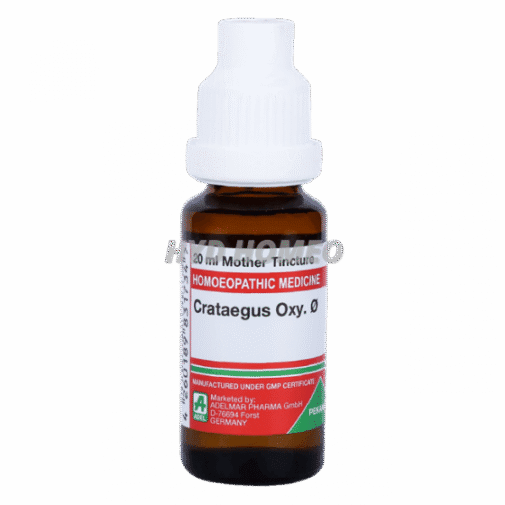 ADEL Crataegus Oxy Ø