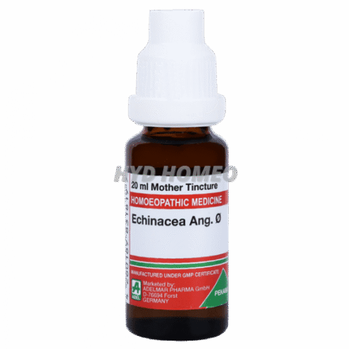 ADEL Echinacea Ang Ø