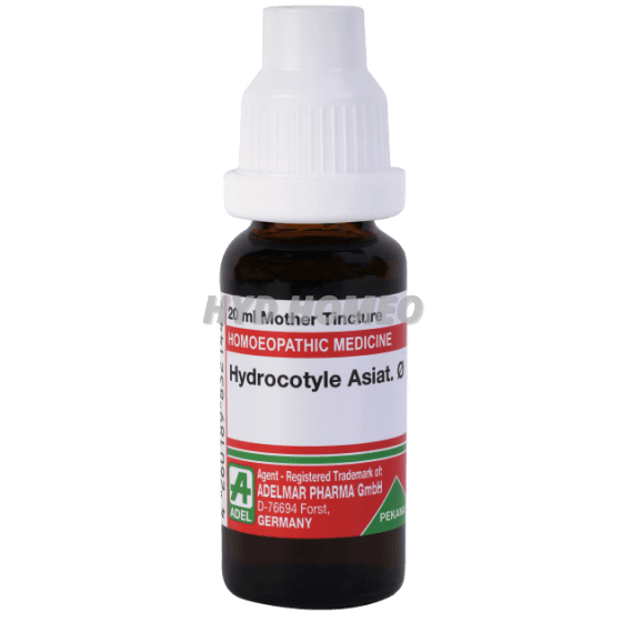 ADEL Hydrocotyle Asiat Ø