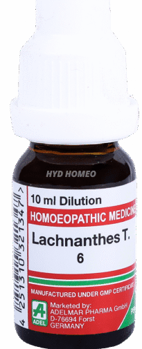 Lachnanthes T