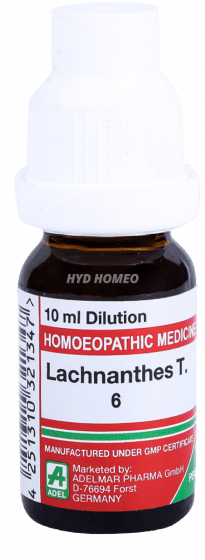 Lachnanthes T