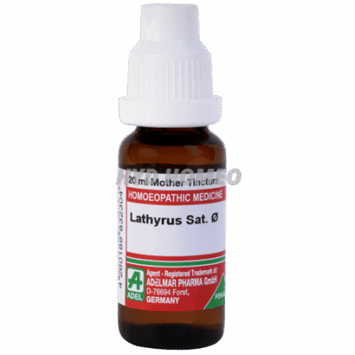 ADEL Lathyrus Sat Ø