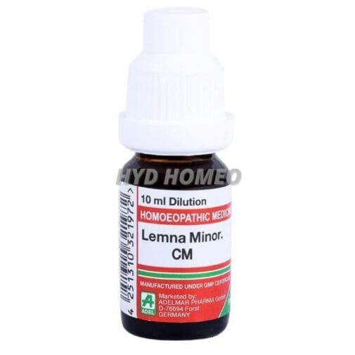 Lemna Minor
