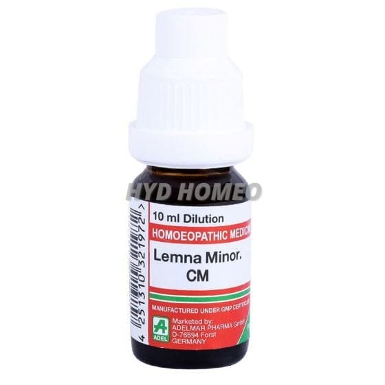 Lemna Minor