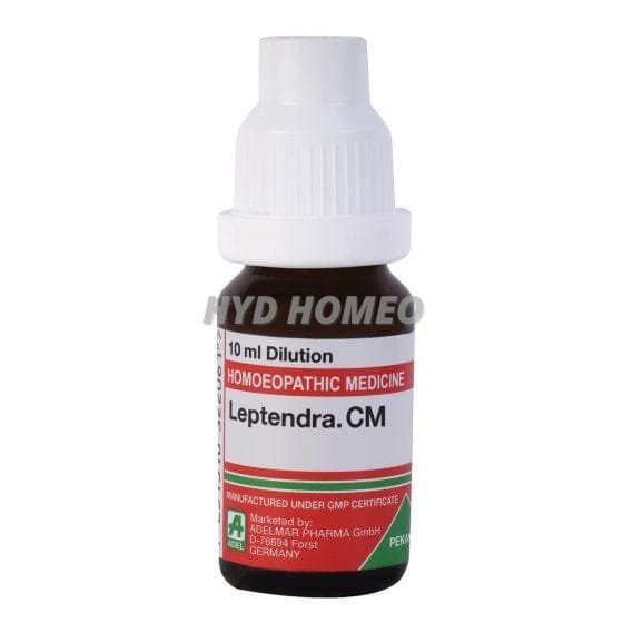 Leptendra