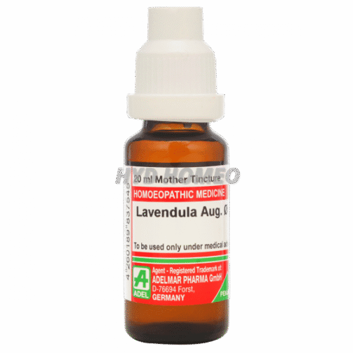 ADEL Lavendula Aug Ø