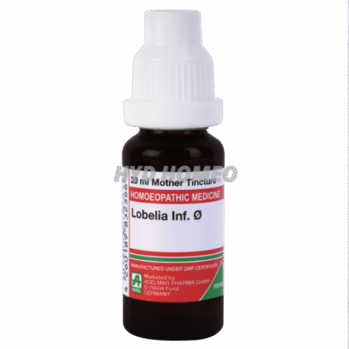 ADEL Lobelia Inf Ø