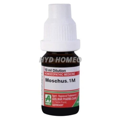 Moschus