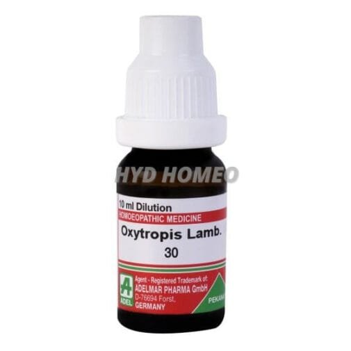 Oxytropis Lamb