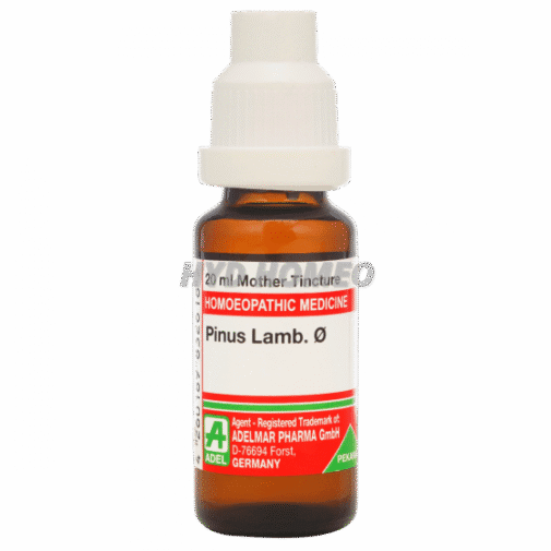 ADEL Pinus lamb Ø
