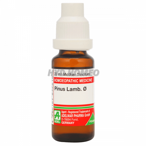 ADEL Pinus lamb Ø
