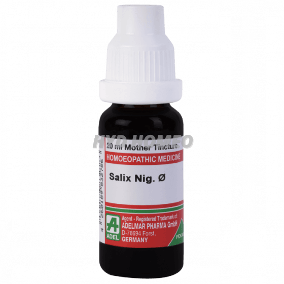 ADEL Salix Nig Ø