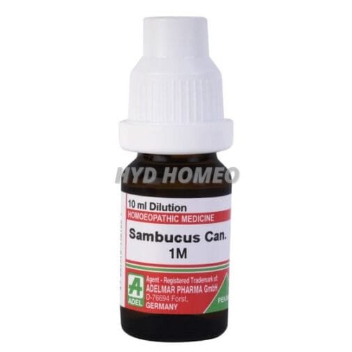 Sambucus Can