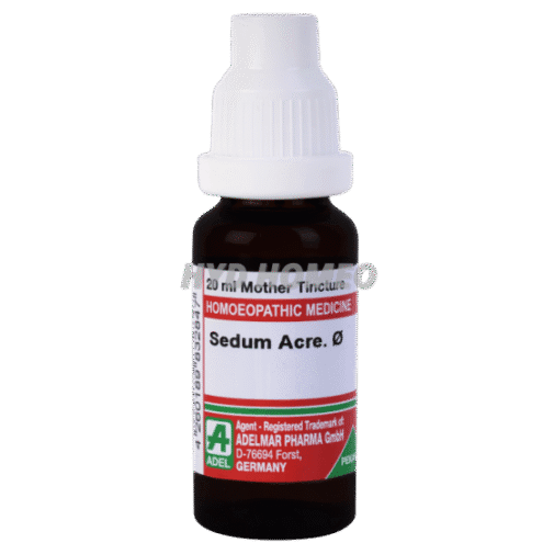 ADEL Sedum Acre Ø