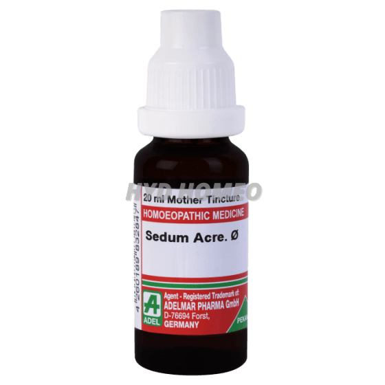 ADEL Sedum Acre Ø