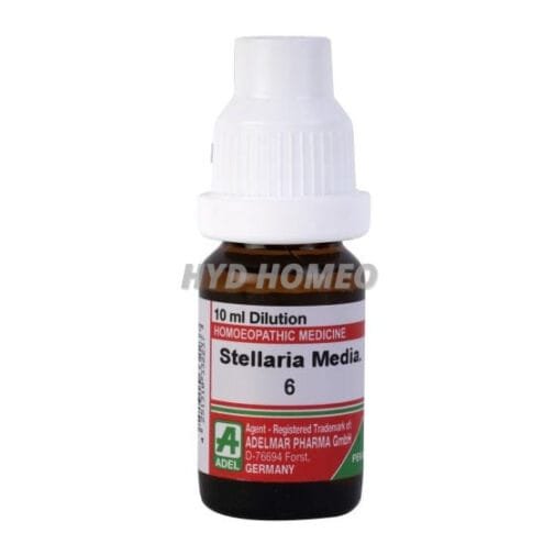 Stellaria Media