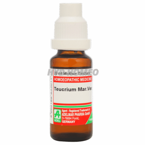 ADEL Teucrium Mar Ver Ø