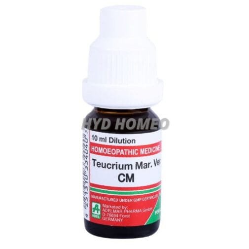 Teucrium MV