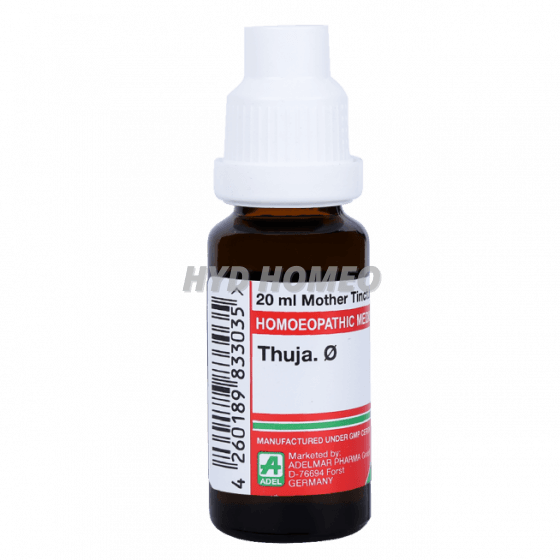 ADEL Thuja Ø