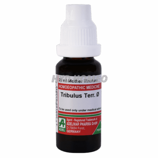 ADEL Tribulus Terr Ø