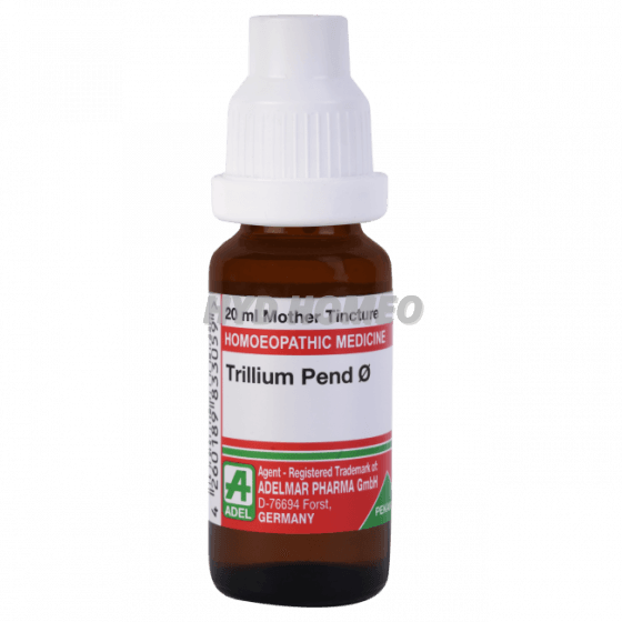 ADEL Trillium Pend Ø