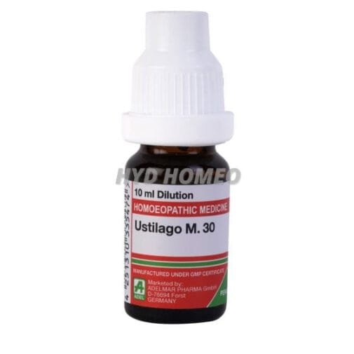 Ustilago Maydis