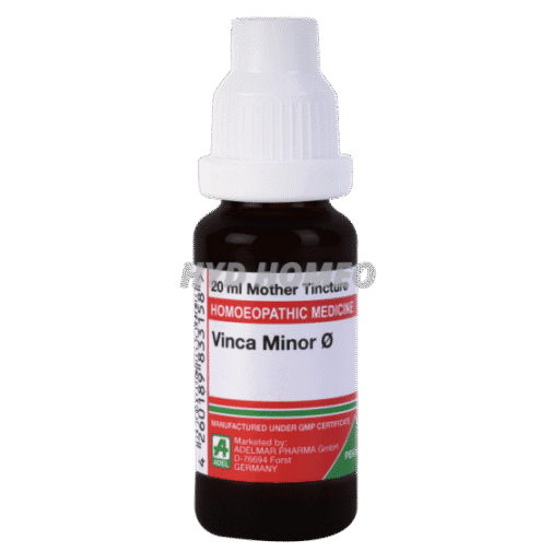 ADEL Vinca Minor Ø